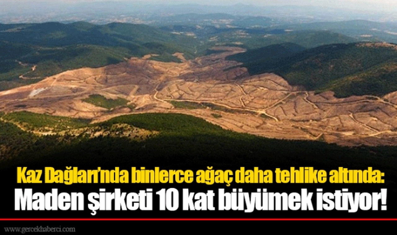 Kaz Dağları’nda binlerce ağaç daha tehlike altında: Maden şirketi 10 kat büyümek istiyor!