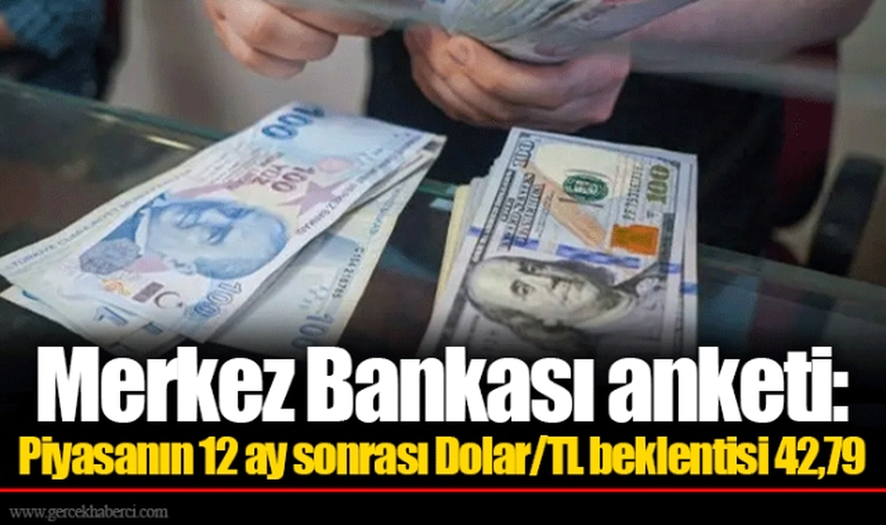 Merkez Bankası anketi: Piyasanın 12 ay sonrası Dolar/TL beklentisi 42,79