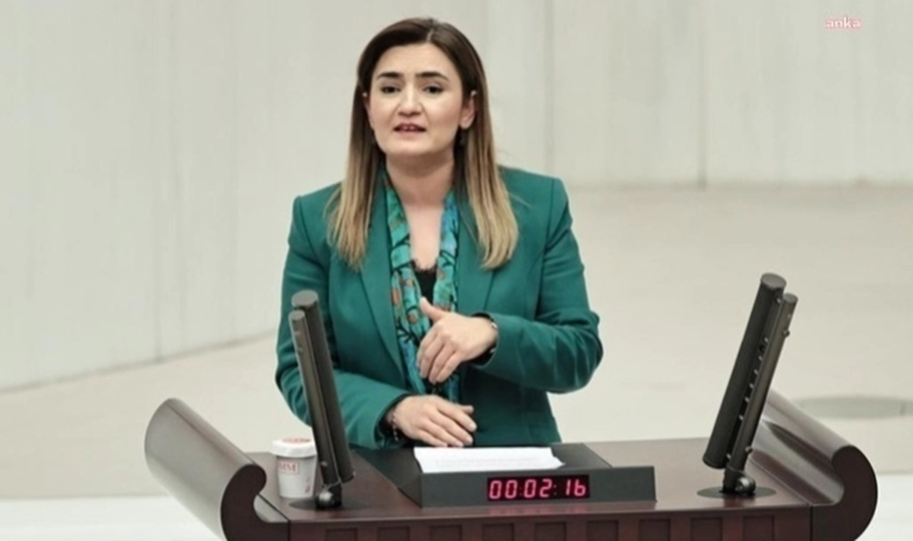 CHP İzmir Milletvekili Sevda Erdan Kılıç: “Kaçak sarayın artık bir de kaçak danışmanları var”