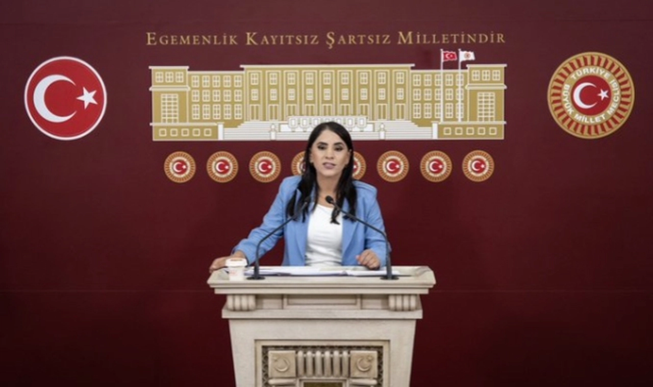DEM Parti Şırnak Milletvekili Aslan, 772 milyon lira borç devralan Cizre Belediyesi'nin borçlarını Hazine'nin ödemesini istedi