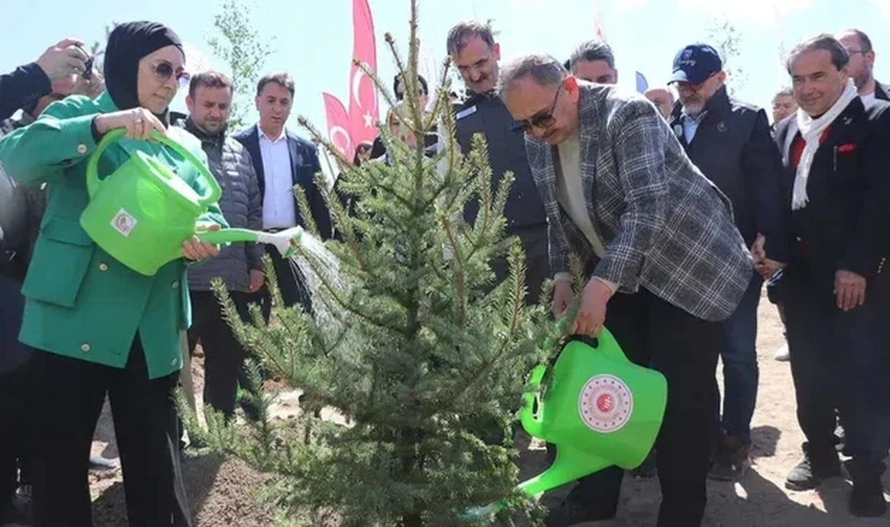 Özhaseki: Ormanlarımızı kel hale getirdik, şimdi seferberlik başlatıyoruz