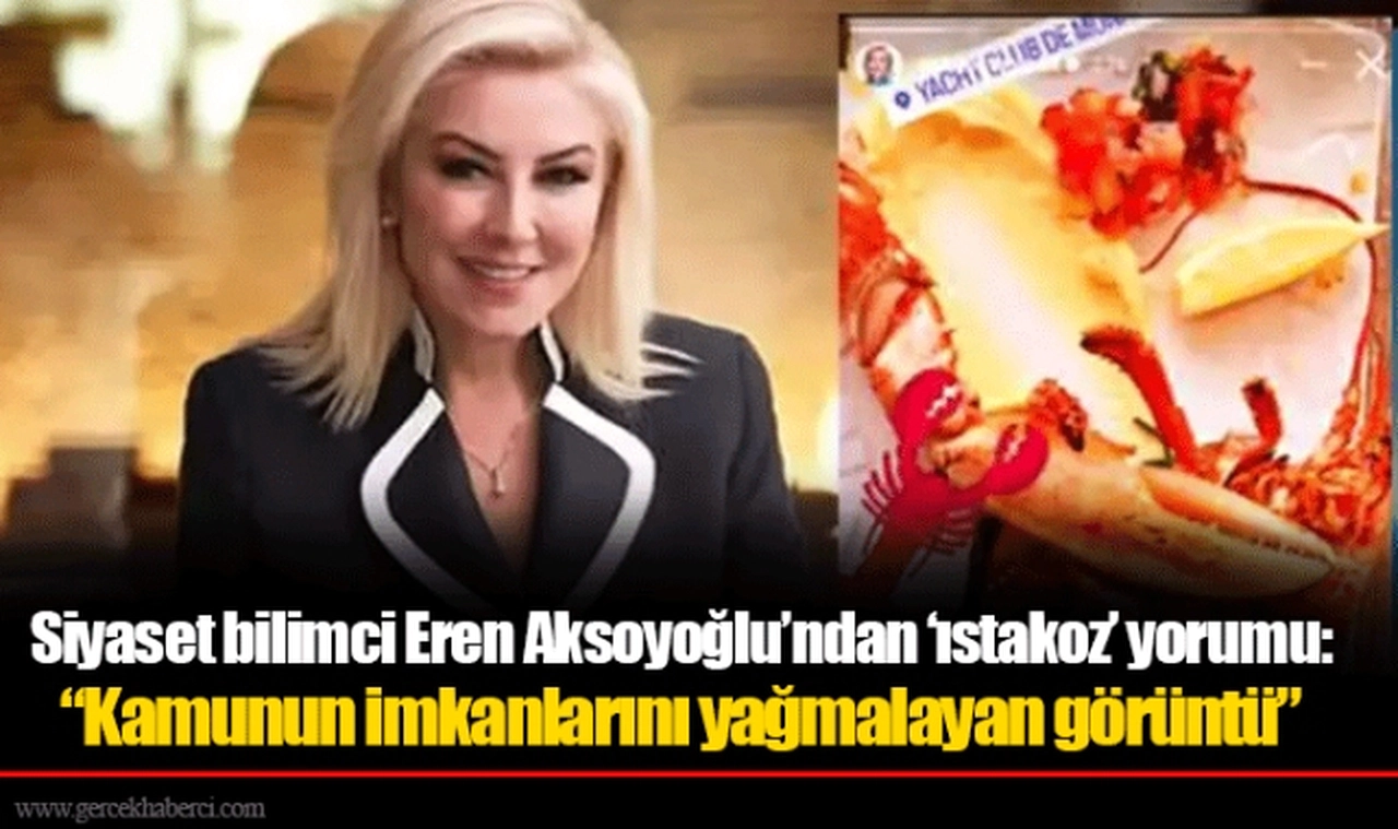 Siyaset bilimci Eren Aksoyoğlu'ndan 'ıstakoz' yorumu:  "Kamunun imkanlarını yağmalayan görüntü"