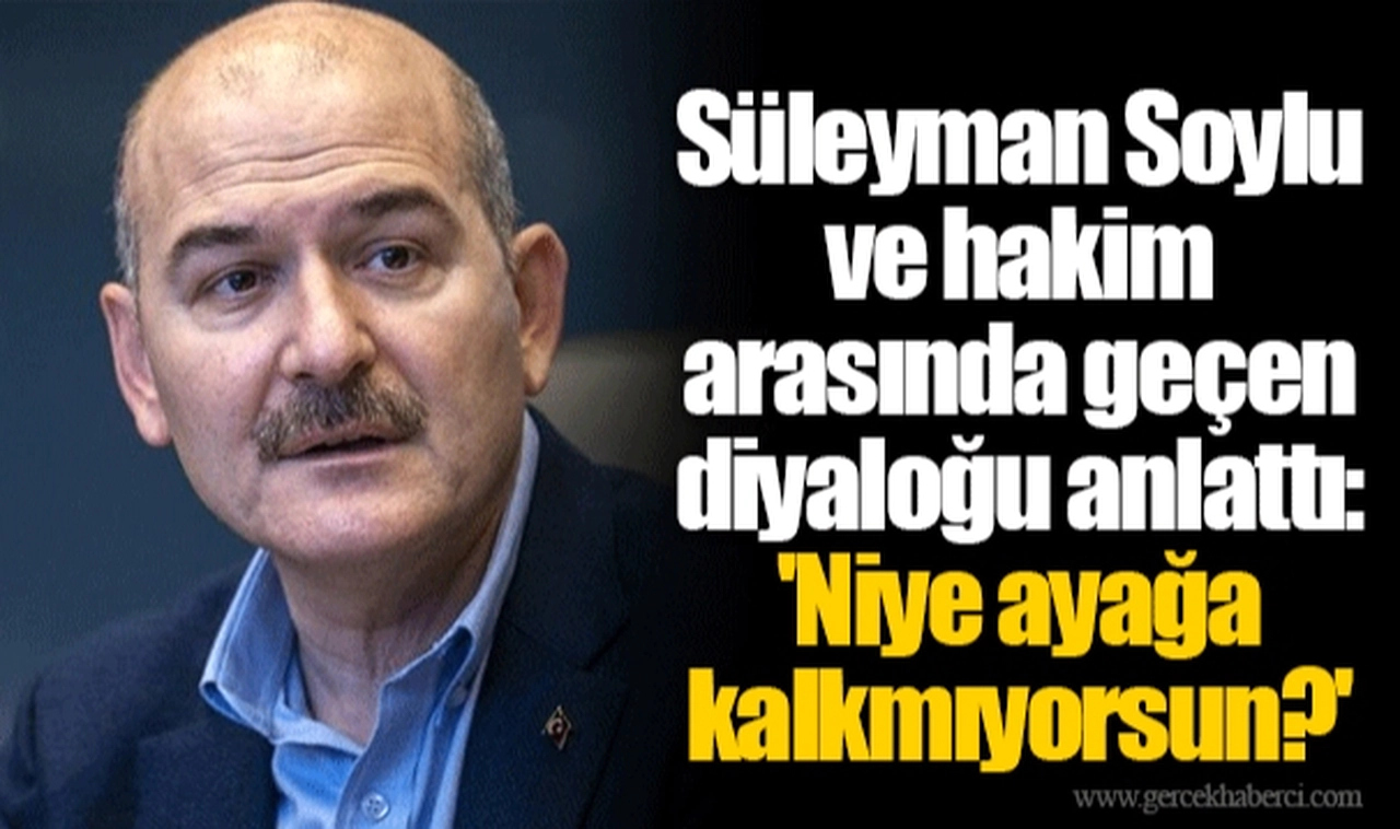 Süleyman Soylu ve hakim arasında geçen diyaloğu anlattı: 'Niye ayağa kalkmıyorsun?'