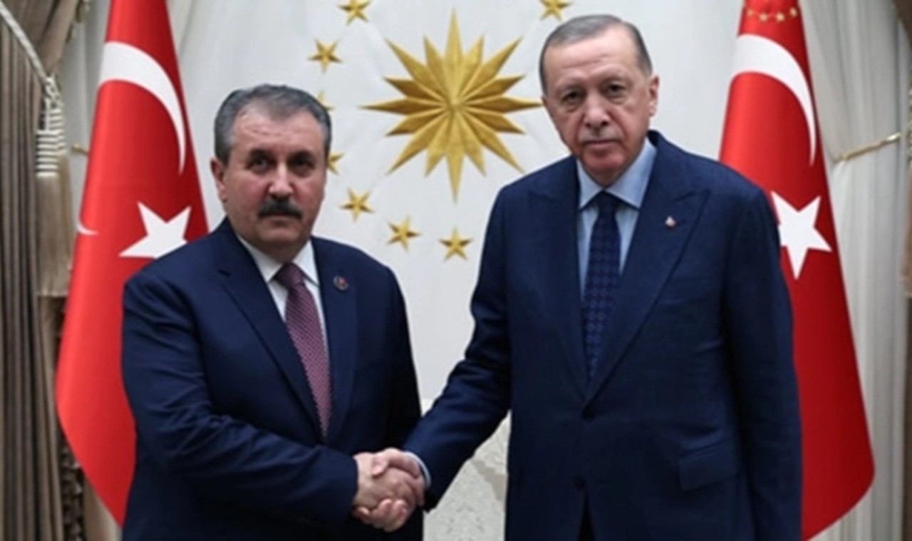 Destici: Cumhurbaşkanımız hedef alındı