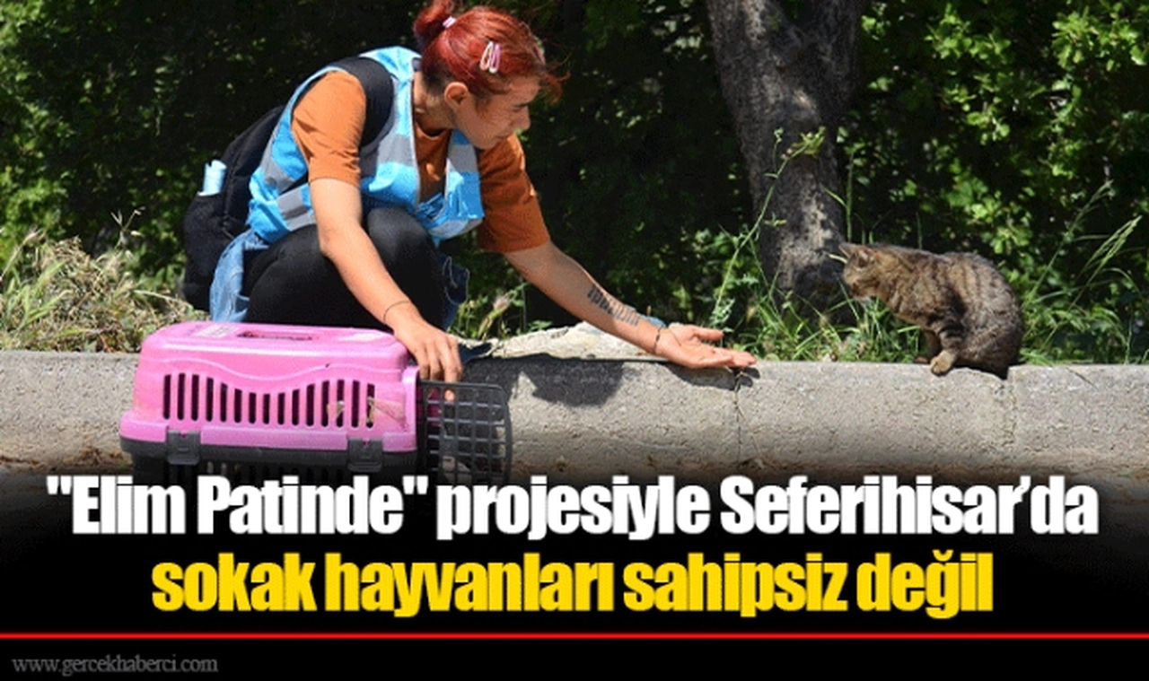 "Elim Patinde" projesiyle Seferihisar’da sokak hayvanları sahipsiz değil