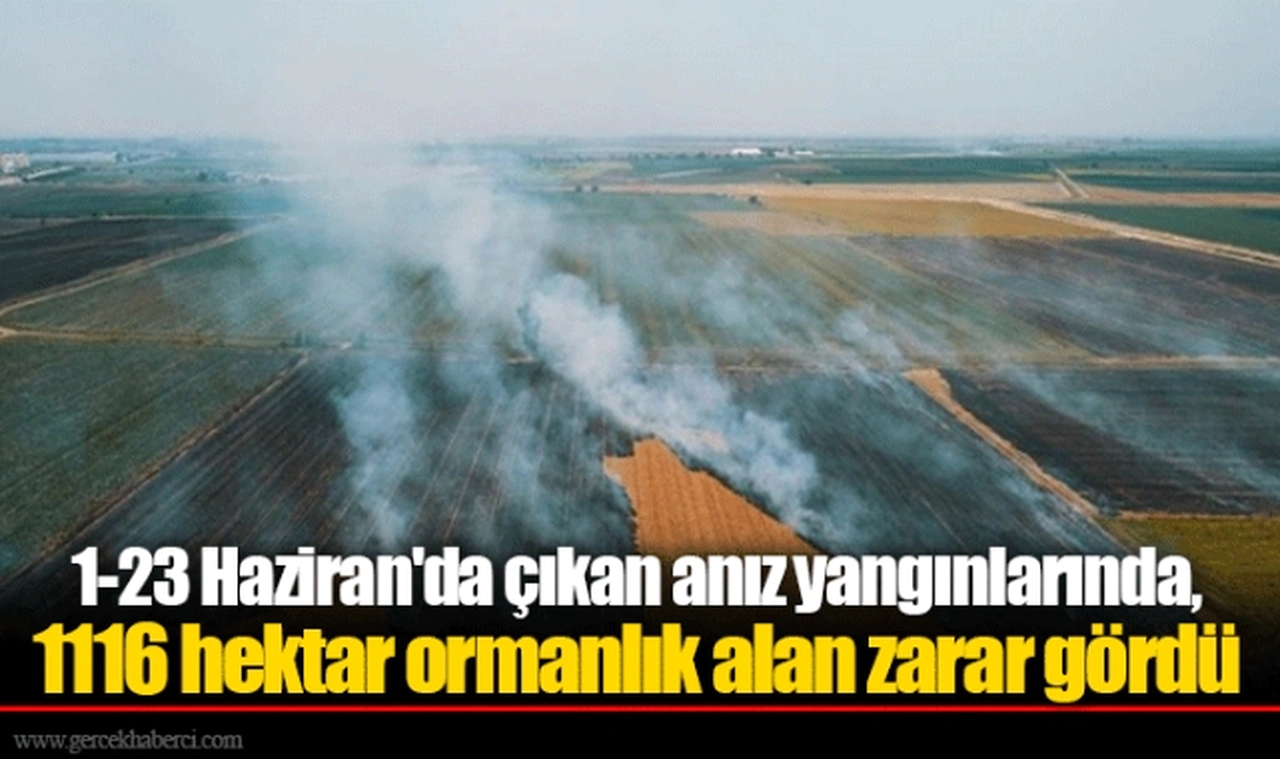 1-23 Haziran'da çıkan anız yangınlarında, 1116 hektar ormanlık alan zarar gördü