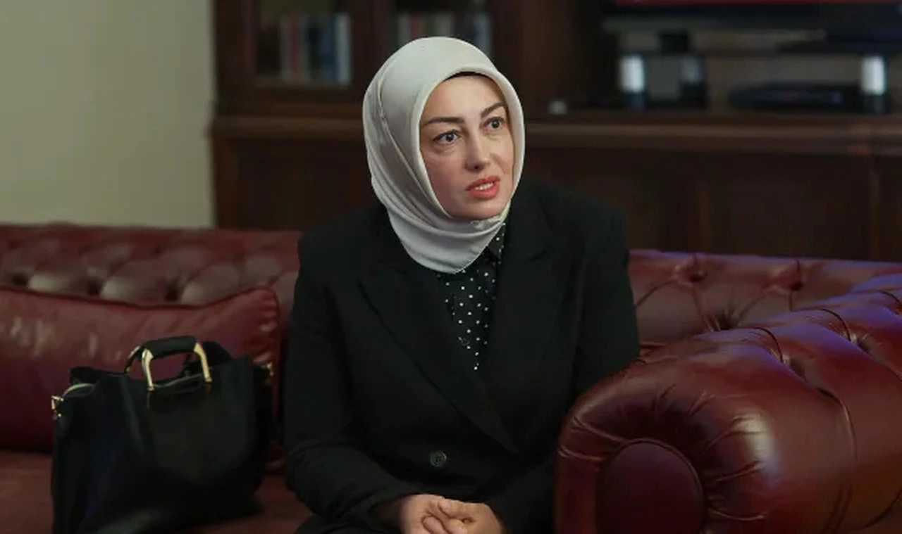 Ayşe Ateş'ten Bahçeli iddiası: "Çağrısı karşılık buldu, Cumhurbaşkanı ile görüşmemiz gerçekleşmedi"