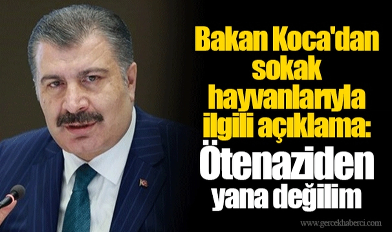 Bakan Koca'dan sokak hayvanlarıyla ilgili açıklama: Ötenaziden yana değilim