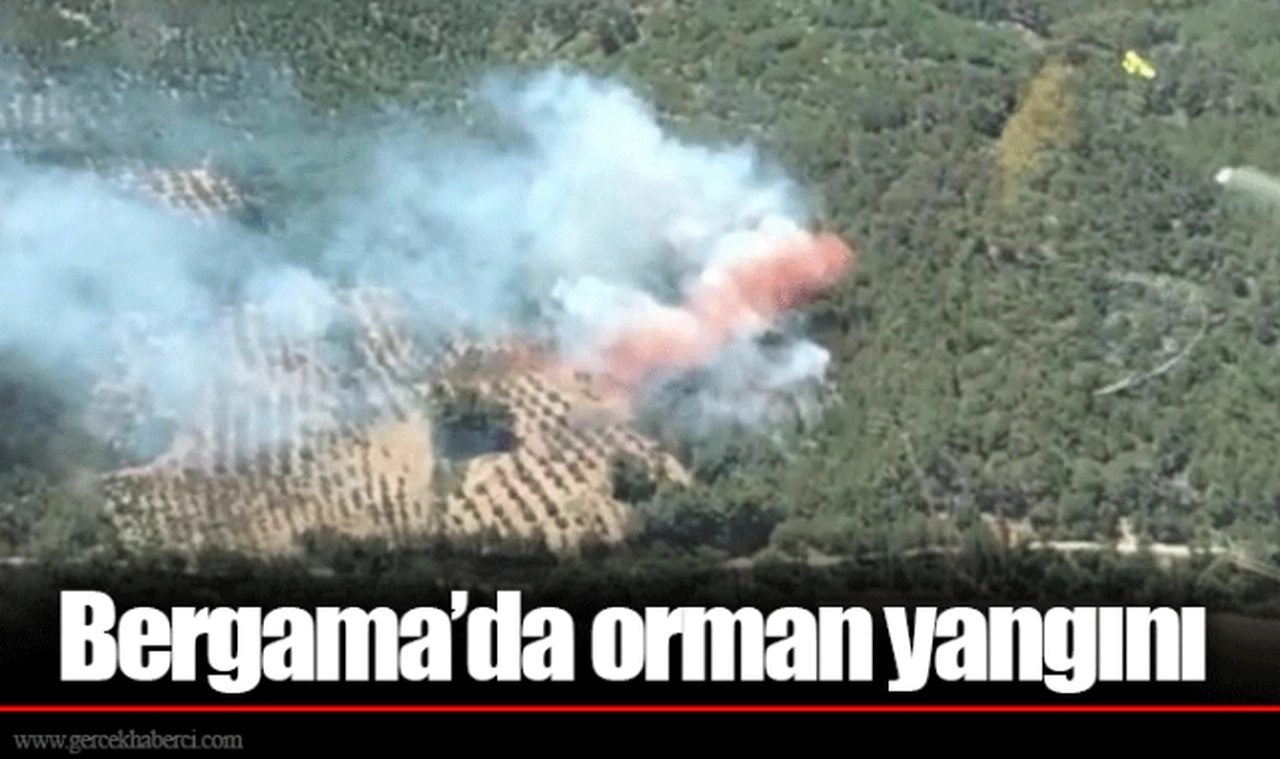 Bergama’da orman yangını