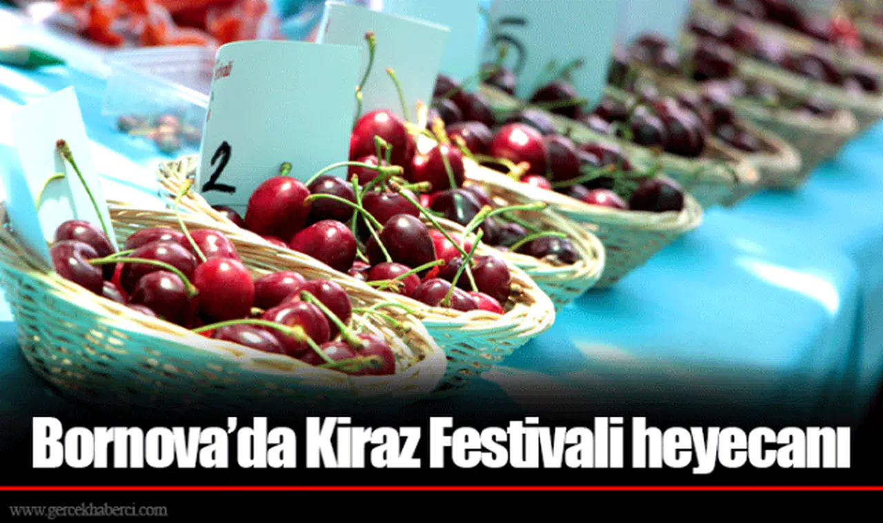 Bornova'da Kiraz Festivali heyecanı