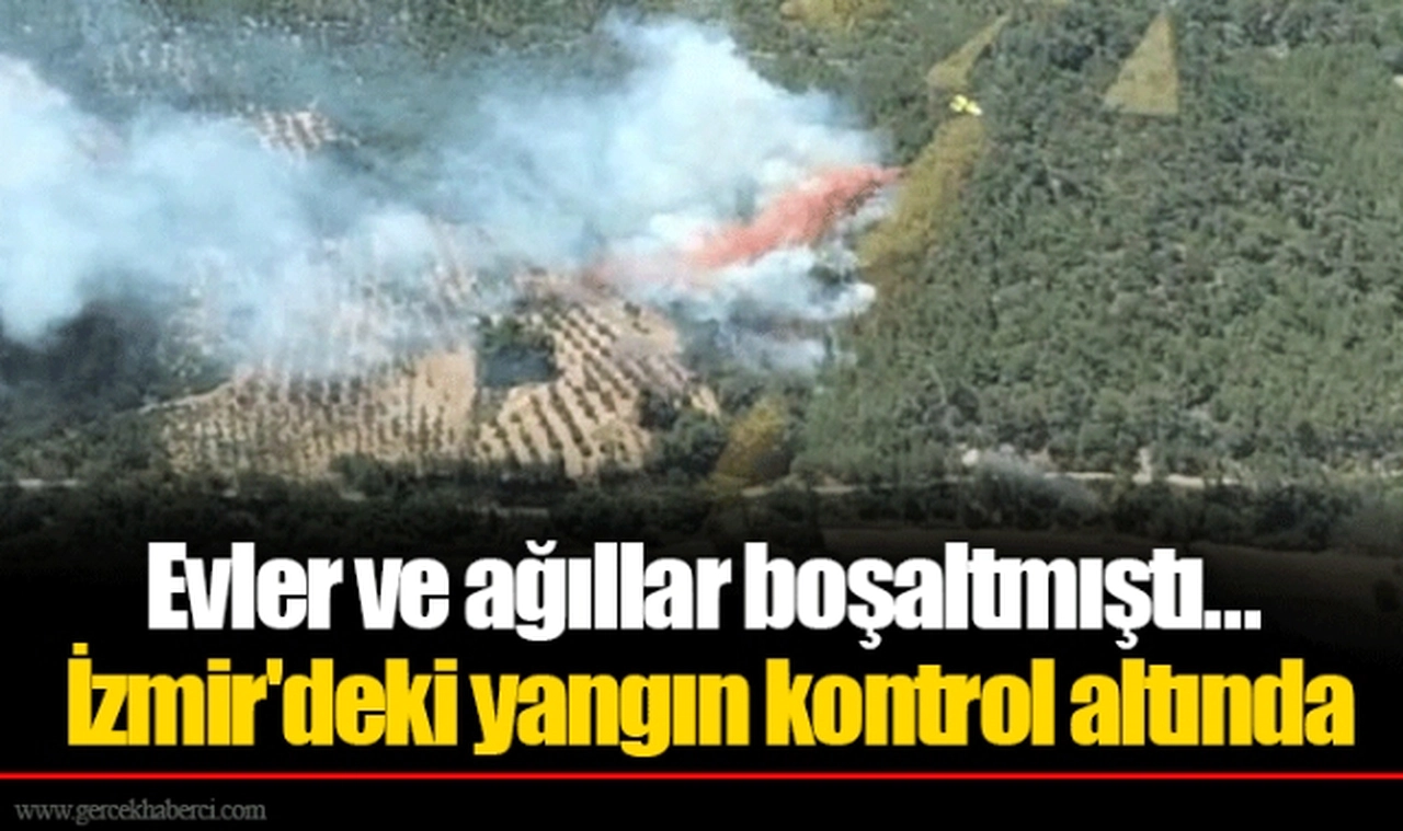 Evler ve ağıllar boşaltmıştı... İzmir'deki yangın kontrol altında