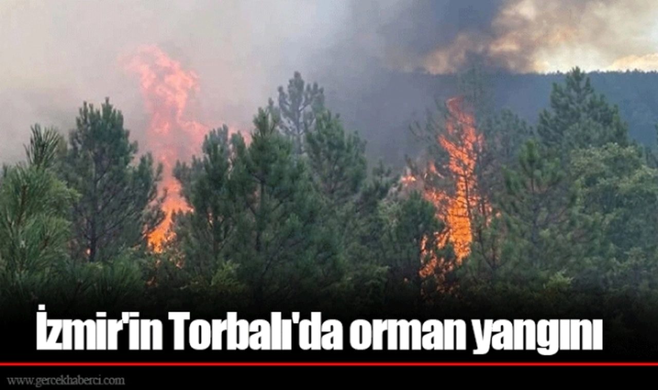 İzmir'in Torbalı'da orman yangını
