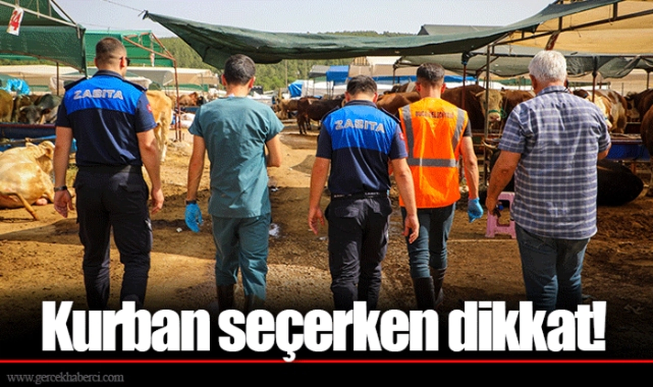 Kurban seçerken dikkat!