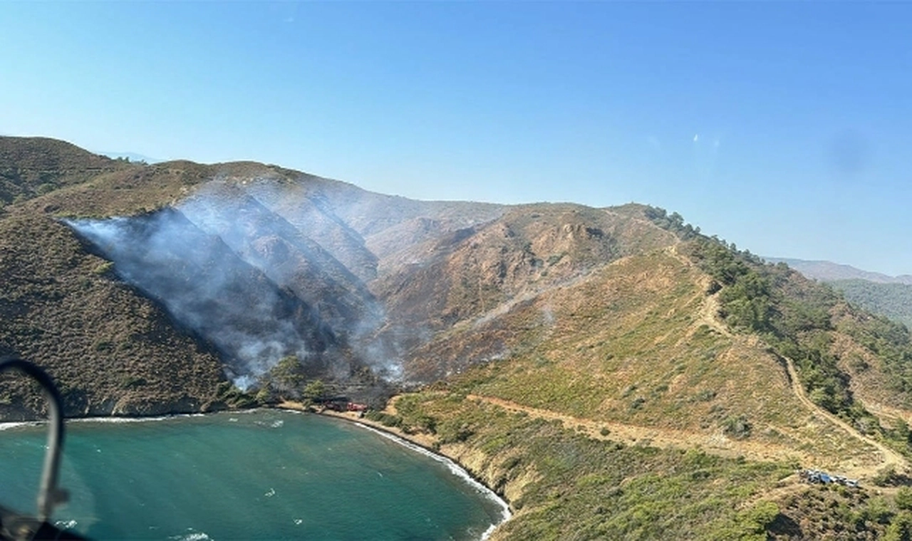 Marmaris'teki orman yangınında 5 hektar alan zarar gördü