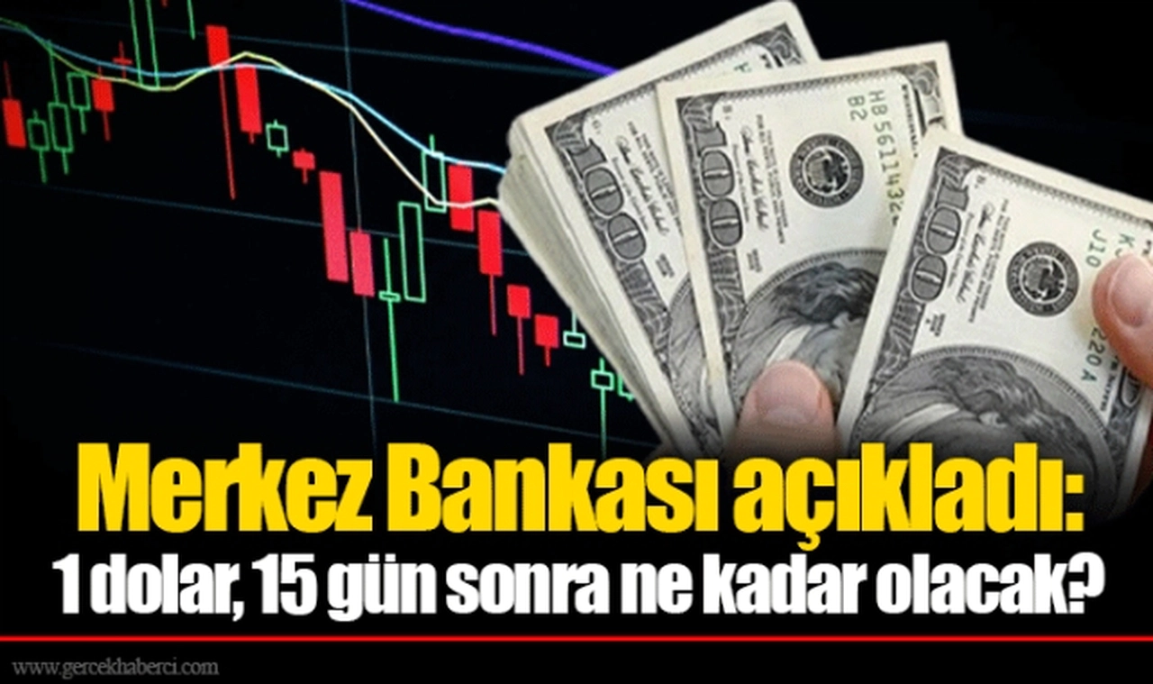 Merkez Bankası açıkladı: 1 dolar, 15 gün sonra ne kadar olacak?
