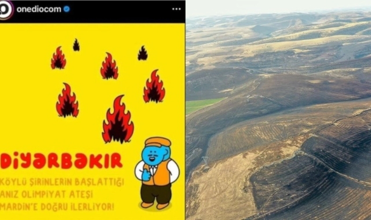 Onedio’dan tepki çeken yangın karikatürü: Editör ‘zar zor’ özür diledi