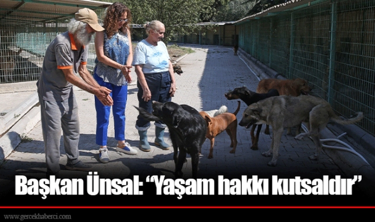 Başkan Ünsal: “Yaşam hakkı kutsaldır”