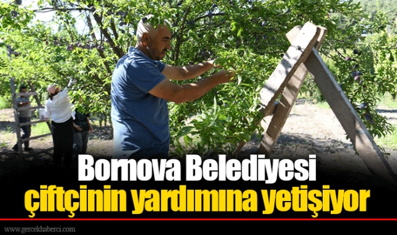 Bornova Belediyesi çiftçinin yardımına yetişiyor