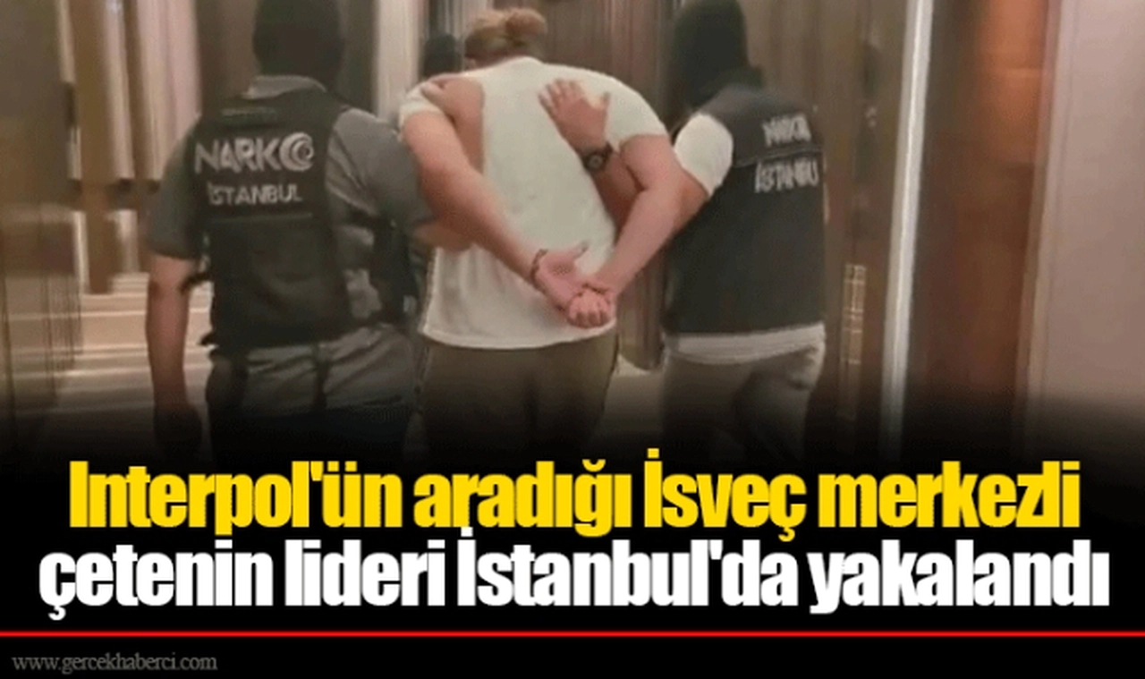 Interpol'ün aradığı İsveç merkezli çetenin lideri İstanbul'da yakalandı