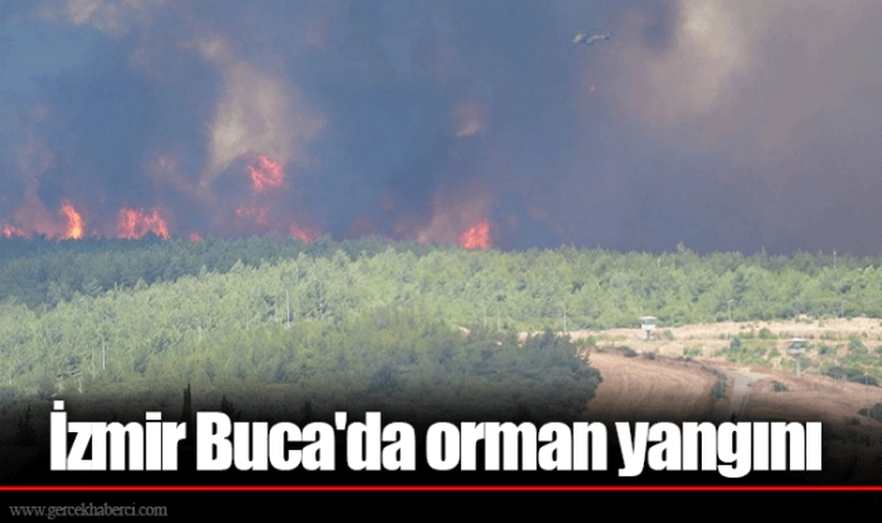İzmir Buca'da orman yangını