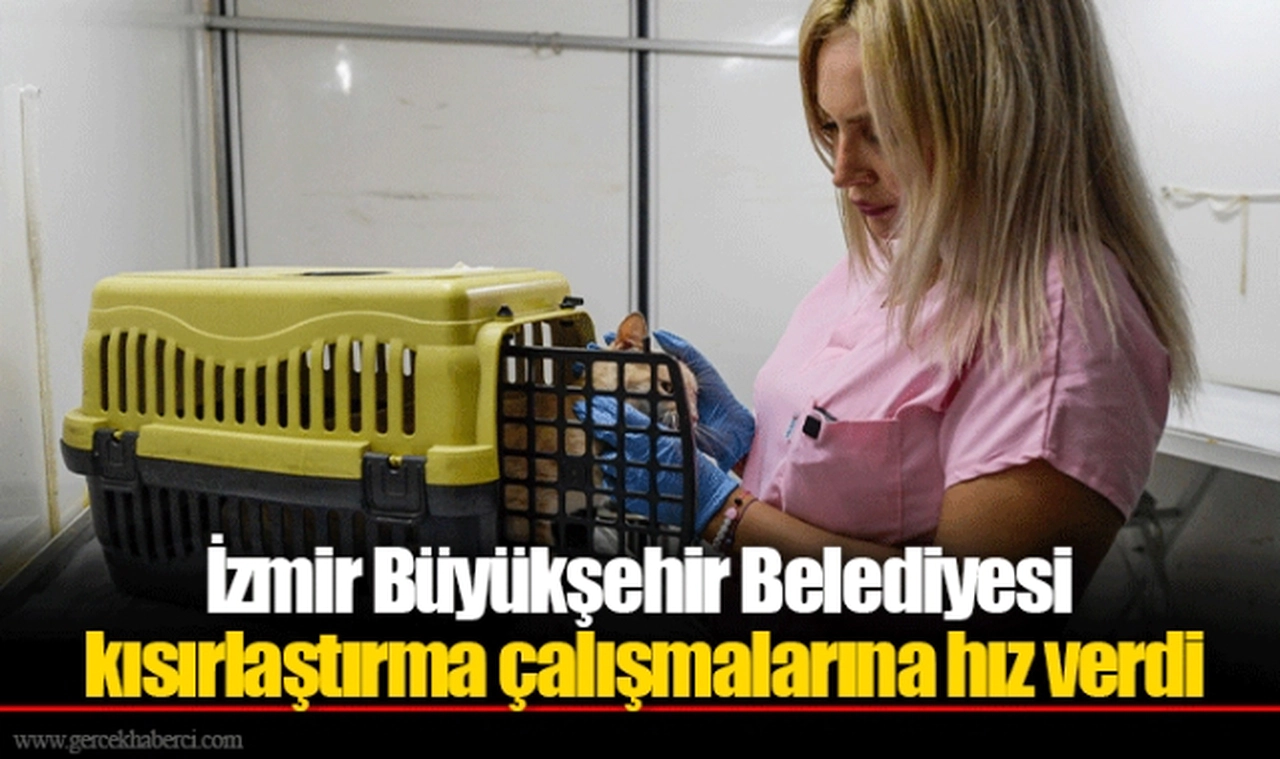 İzmir Büyükşehir Belediyesi kısırlaştırma çalışmalarına hız verdi