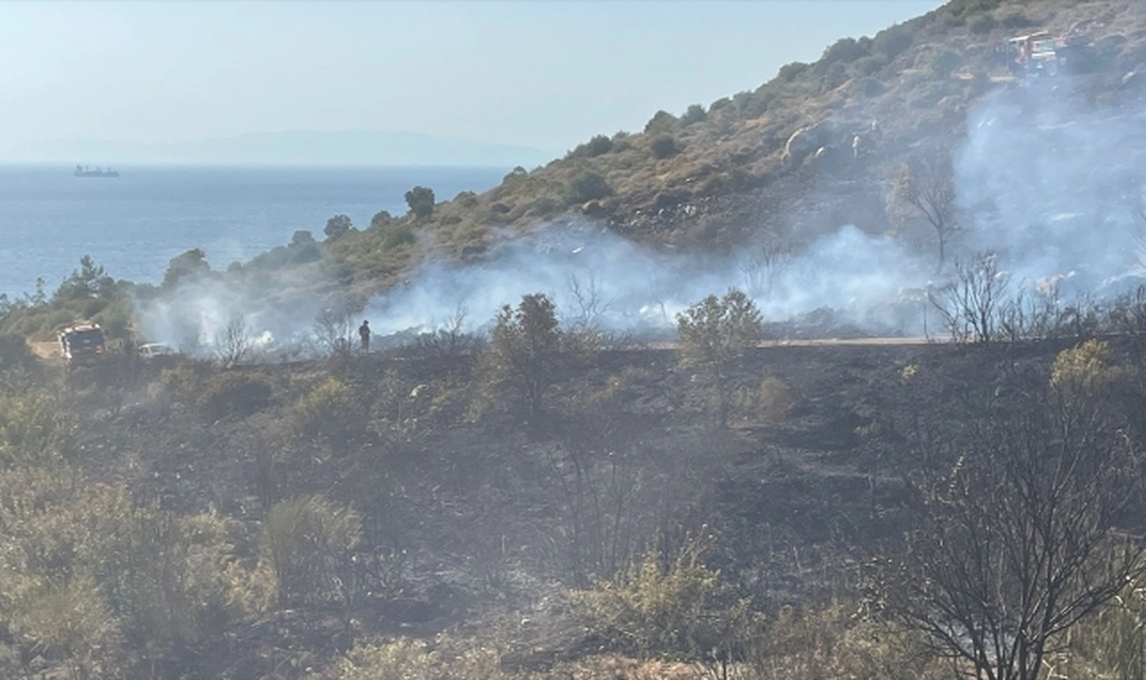 İzmir'de otomobilde çıkıp makilik alana sıçrayan yangın kontrol altında