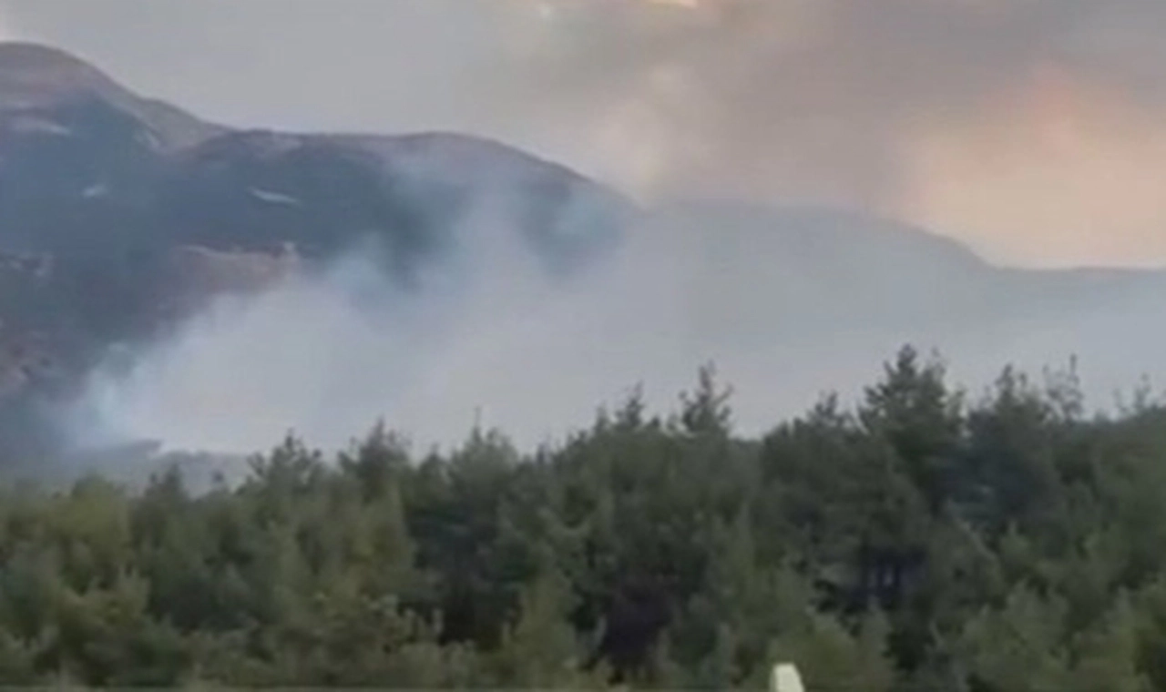 Kahramanmaraş'ta orman yangını