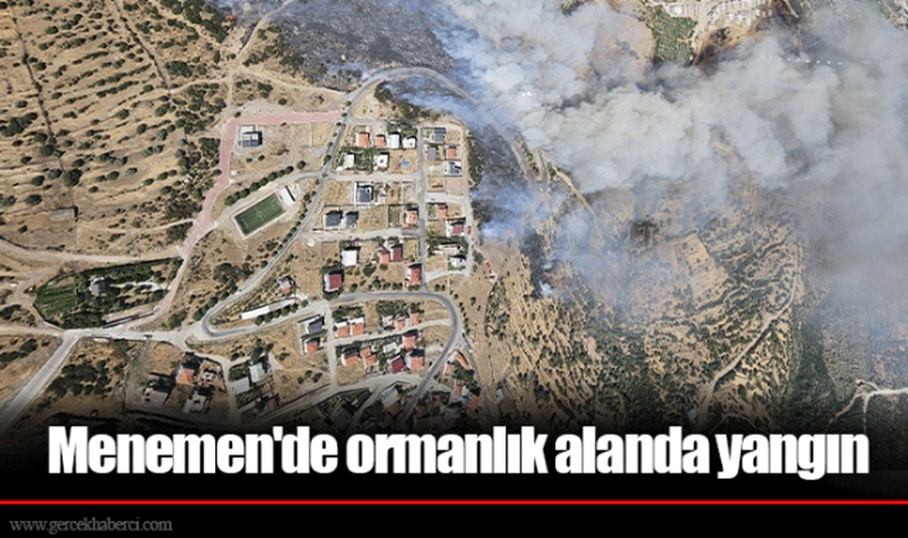 Menemen'de ormanlık alanda yangın
