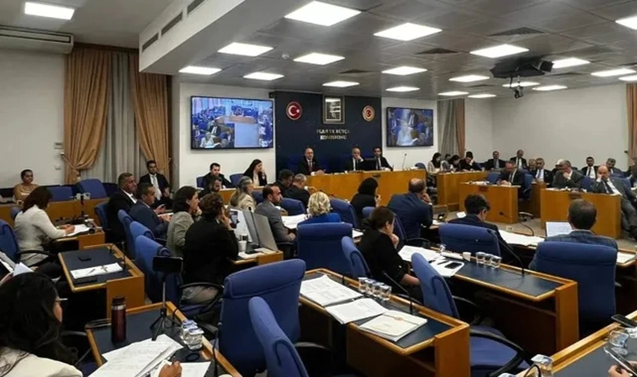 Sokak hayvanlarına ilişkin kanun teklifinin görüşmelerinde milletvekillerine 'süre sınırlaması'
