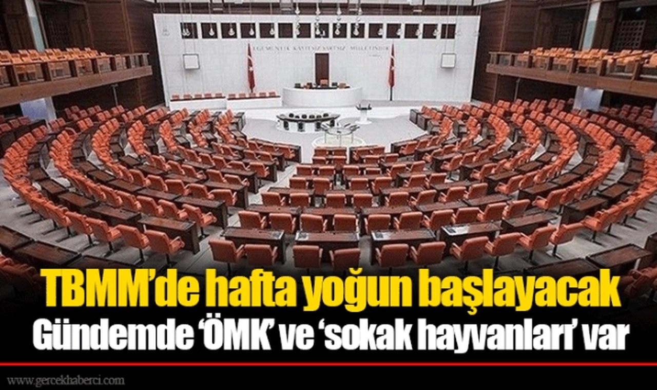 TBMM’de hafta yoğun başlayacak Gündemde ‘ÖMK’ ve ‘sokak hayvanları’ var