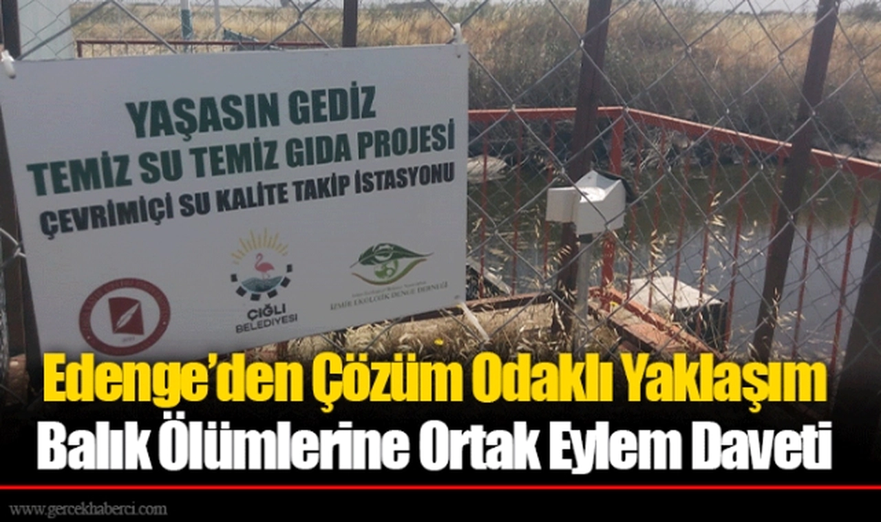 Balık Ölümlerine Ortak Eylem Daveti