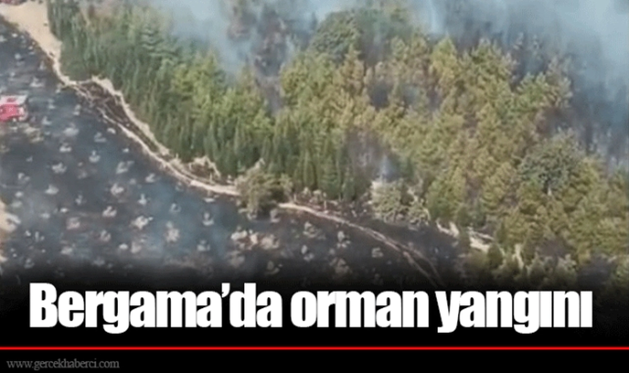 Bergama’da orman yangını