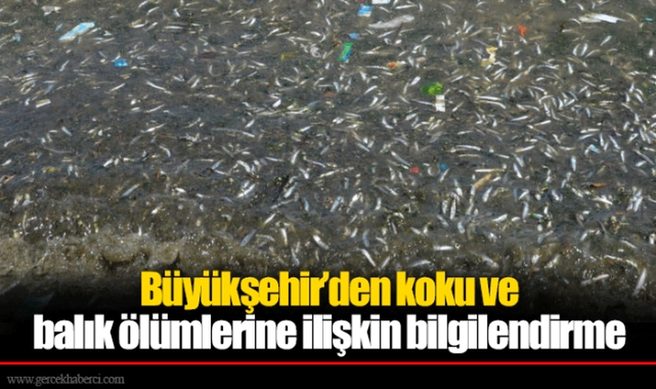 Büyükşehir’den koku ve balık ölümlerine ilişkin bilgilendirme