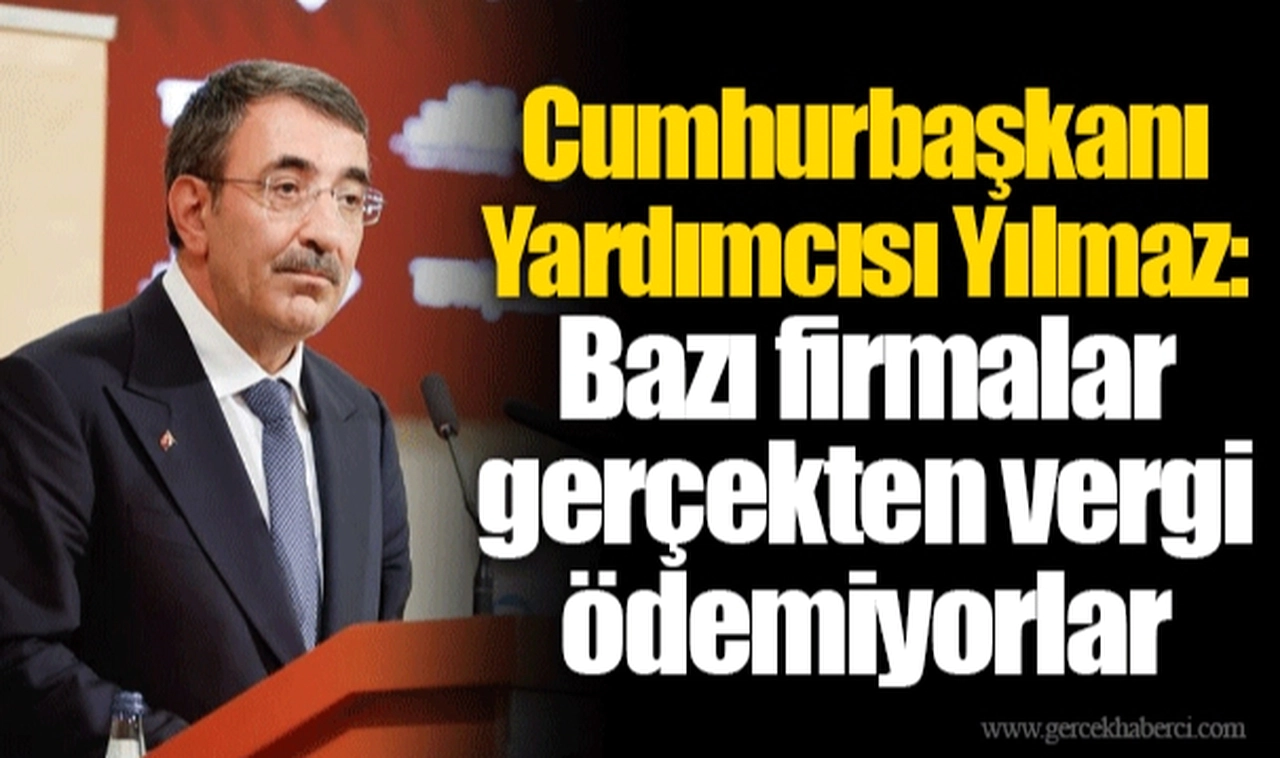 Cumhurbaşkanı Yardımcısı Yılmaz: Bazı firmalar gerçekten vergi ödemiyorlar
