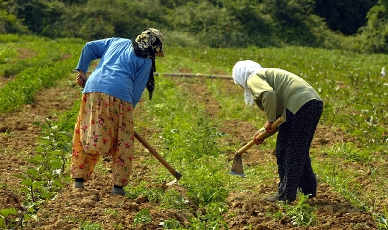 "İktidarın çiftçiye faydası kalmamıştır"