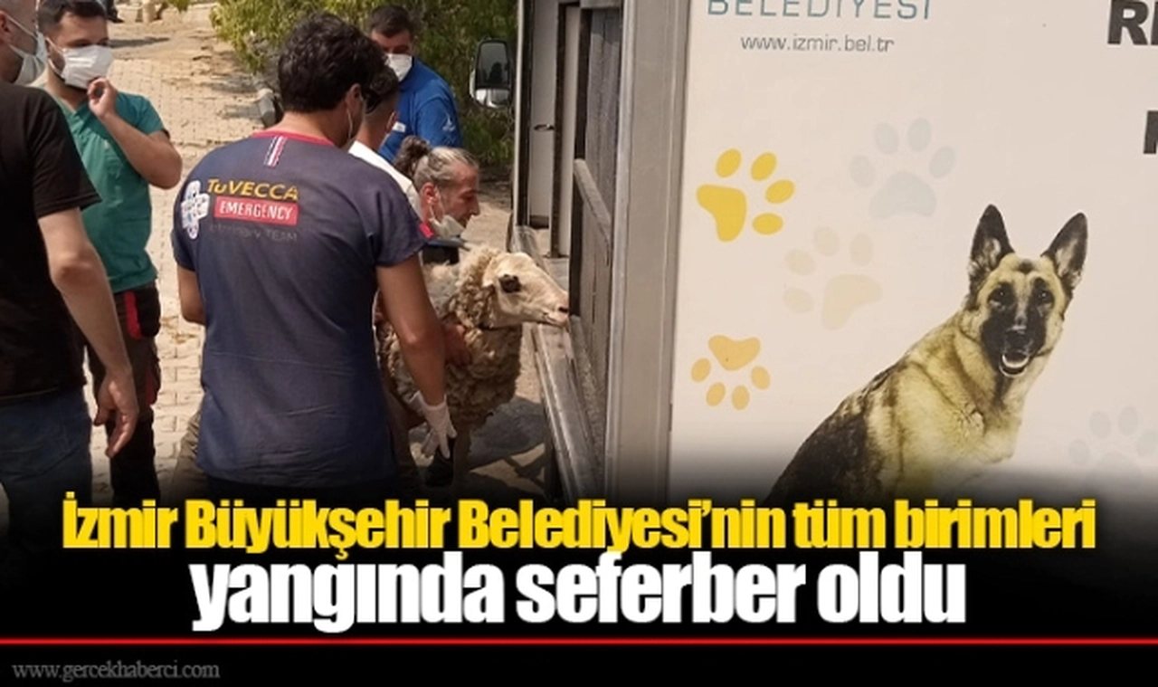 İzmir Büyükşehir Belediyesi’nin tüm birimleri yangında seferber oldu