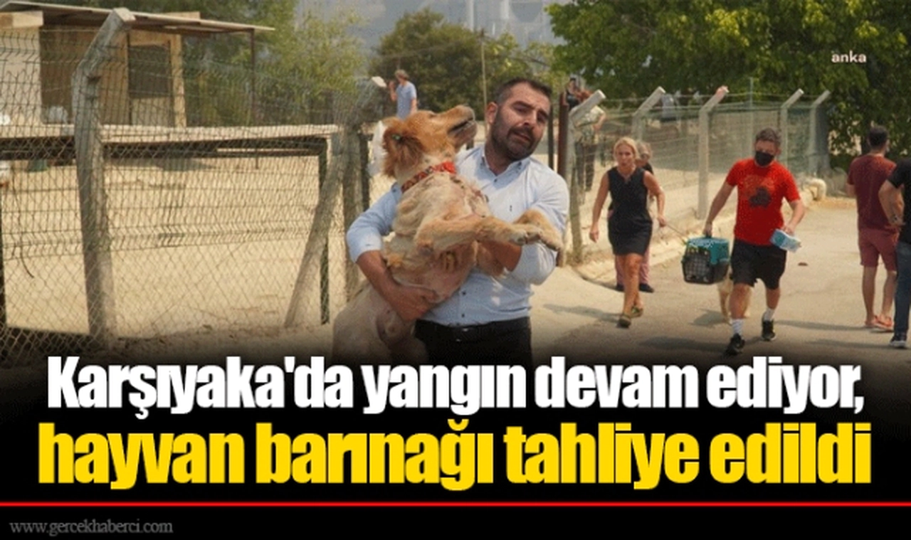 Karşıyaka'da yangın devam ediyor, hayvan barınağı tahliye edildi