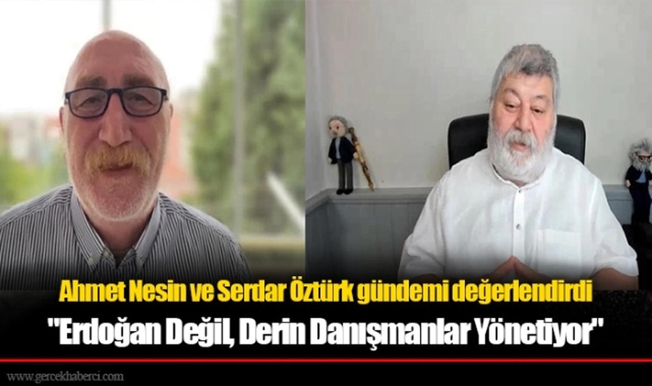 Nesin, "Erdoğan Değil, Derin Danışmanlar Yönetiyor"