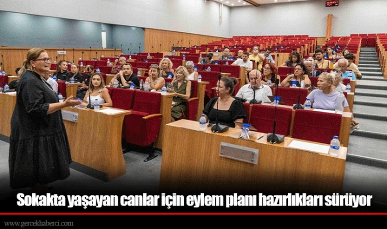 Sokakta yaşayan canlar için eylem planı hazırlıkları sürüyor