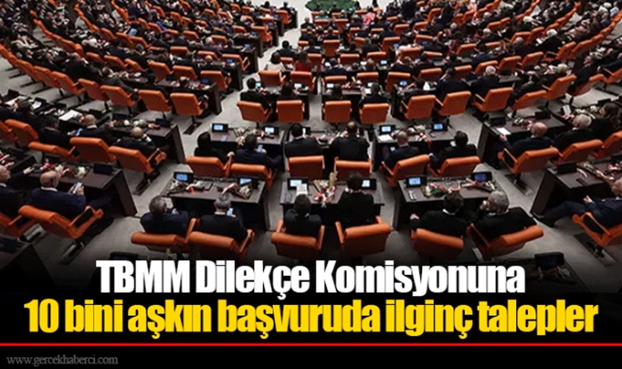 TBMM Dilekçe Komisyonuna 10 bini aşkın başvuruda ilginç talepler