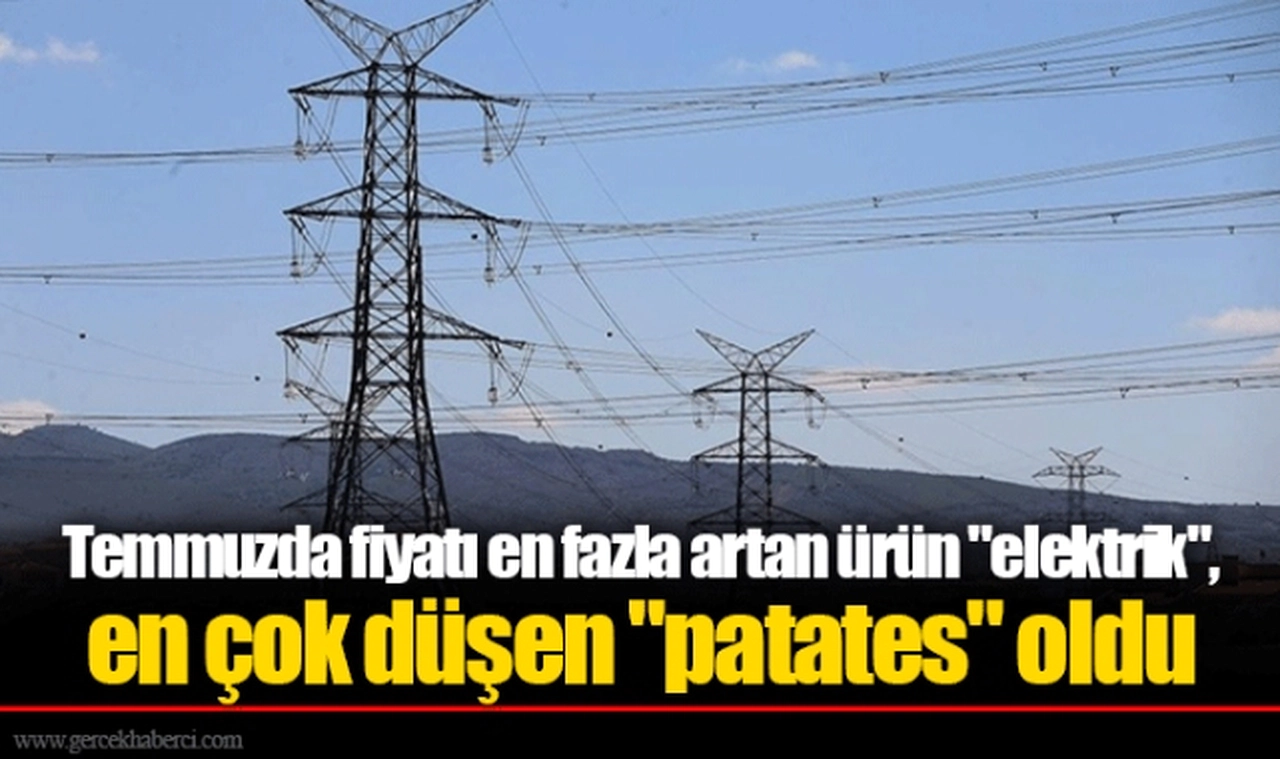 Temmuzda fiyatı en fazla artan ürün "elektrik", en çok düşen "patates" oldu