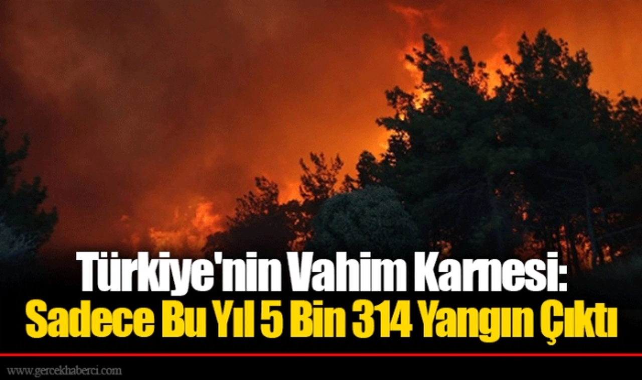 Türkiye'nin Vahim Karnesi: Sadece Bu Yıl 5 Bin 314 Yangın Çıktı