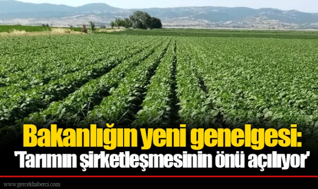 Bakanlığın yeni genelgesi: 'Tarımın şirketleşmesinin önü açılıyor'