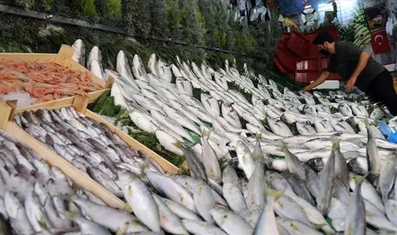 Balık tezgahlarında palamut, hamsi ve çinekop bolluğu yaşanıyor