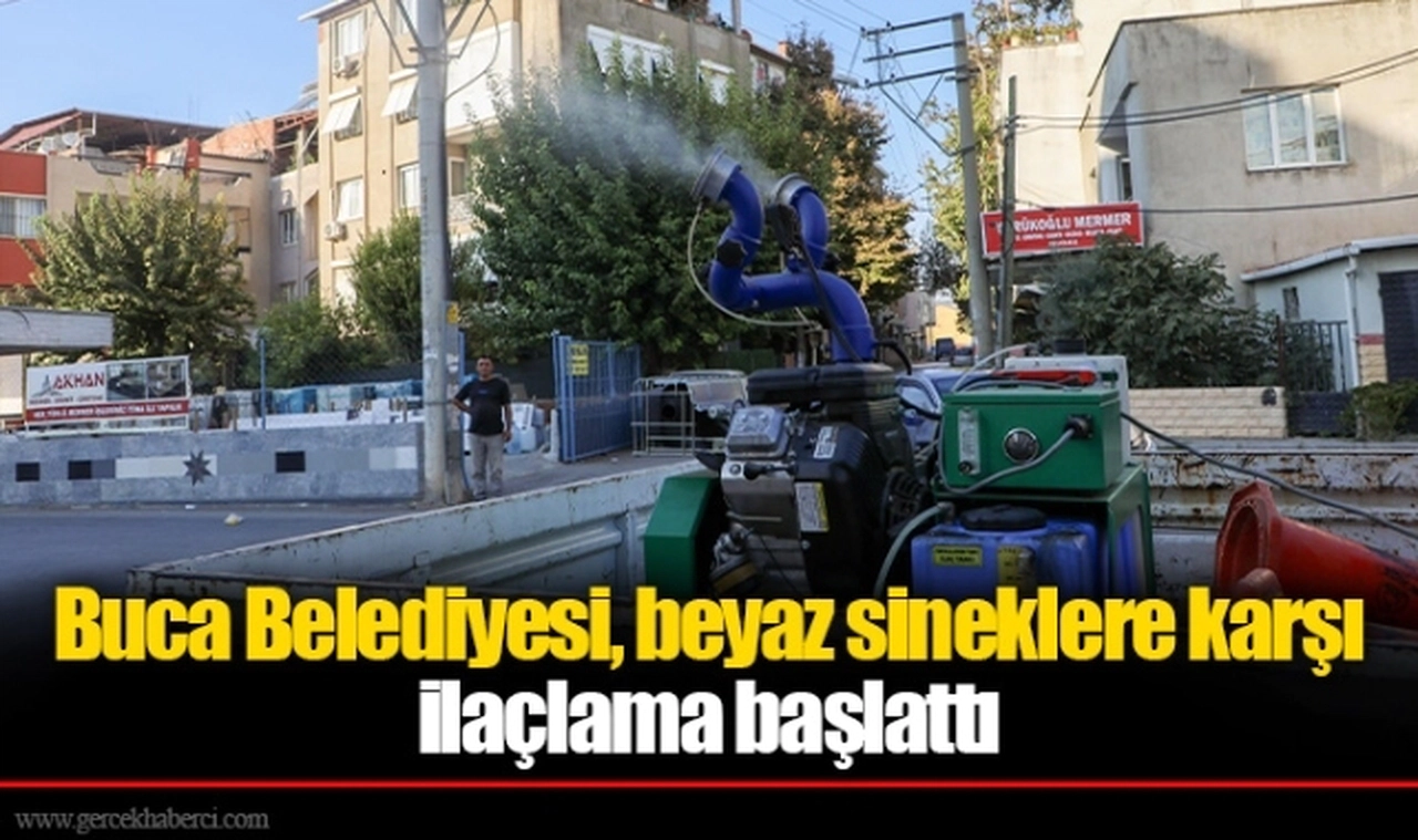 Buca Belediyesi, beyaz sineklere karşı ilaçlama başlattı