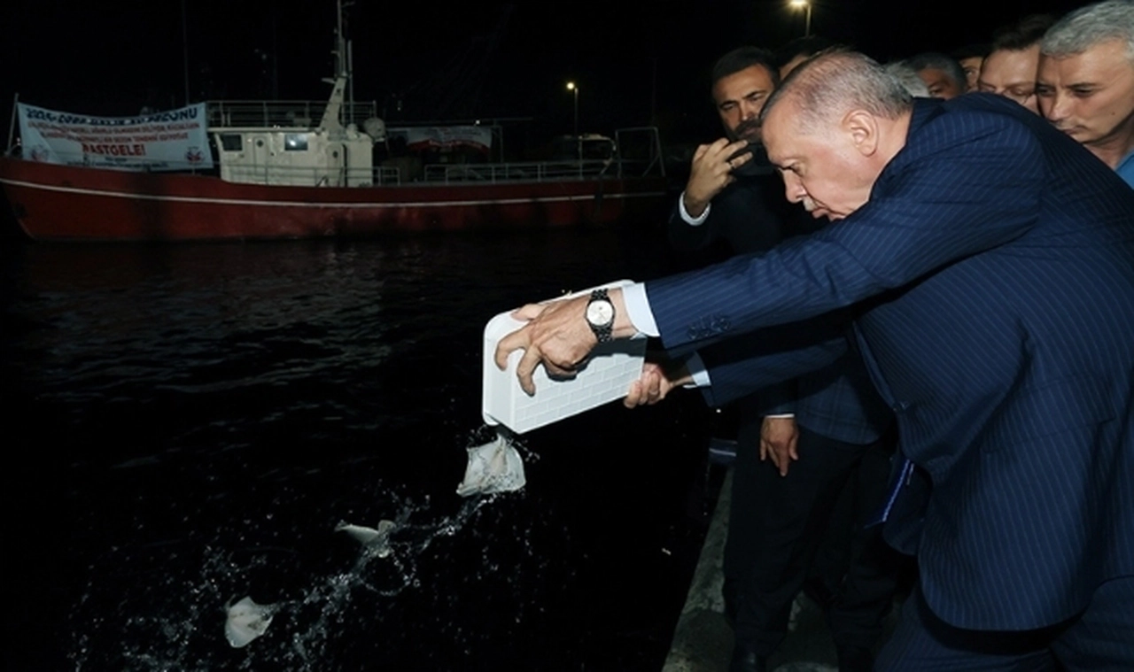 Cumhurbaşkan Erdoğan: Uluslararası denizlerde balıkçılığın endüstrisini kurmayı hedefliyoruz