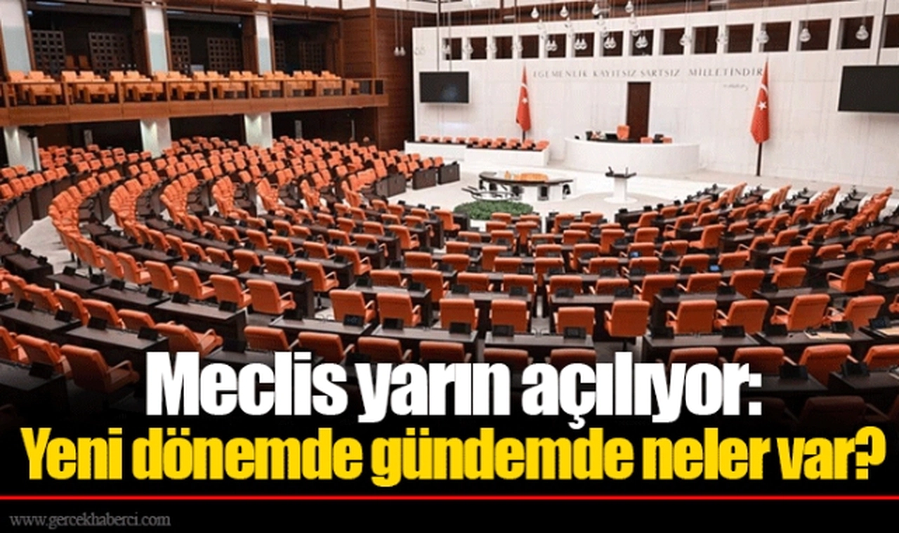 Meclis yarın açılıyor: Yeni dönemde gündemde neler var?