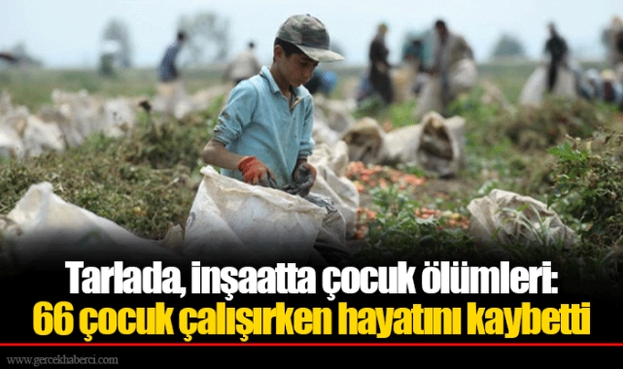 Tarlada, inşaatta çocuk ölümleri: 66 çocuk çalışırken hayatını kaybetti