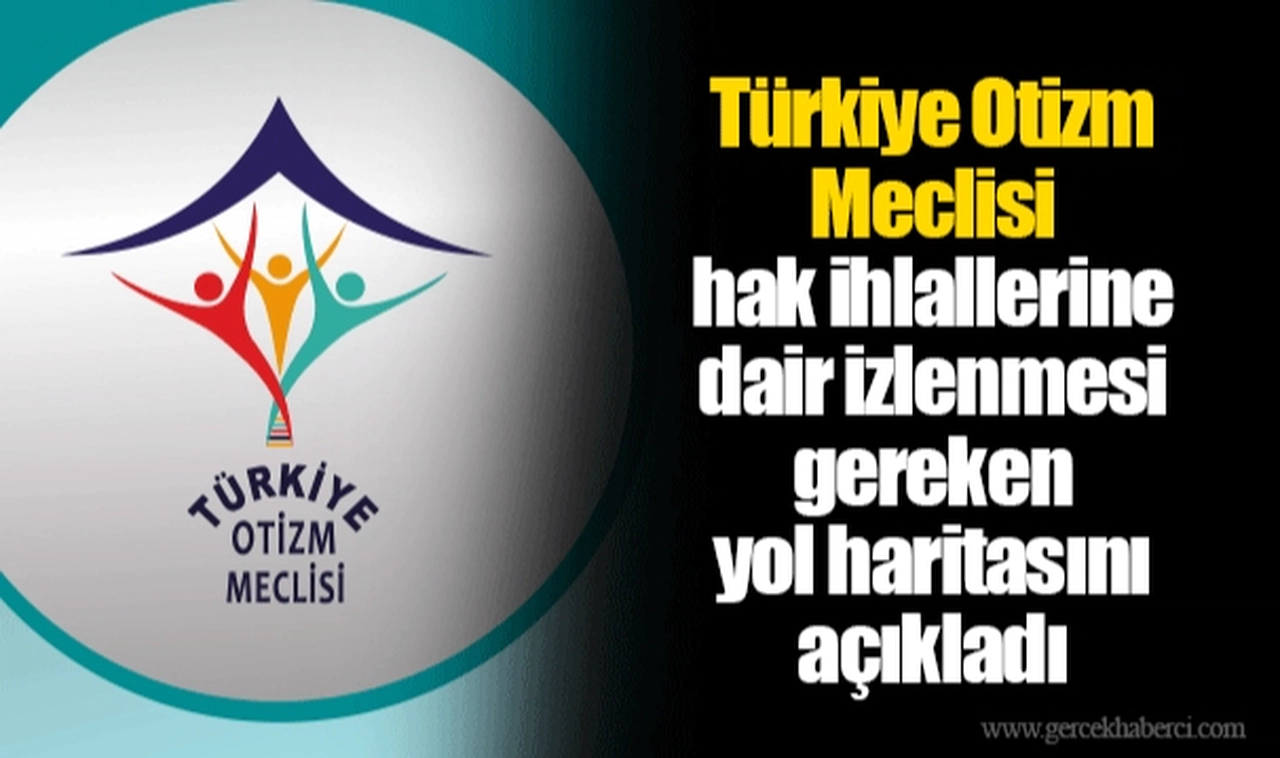 Türkiye Otizm Meclisi hak ihlallerine dair izlenmesi gereken yol haritasını açıkladı