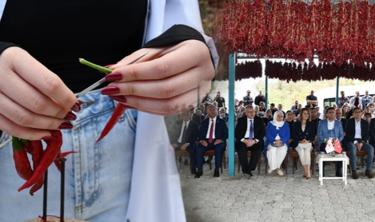 3 kilo biber dakikalar içerisinde 1 milyon TL'ye satıldı: Türkiye'de sadece o köyde yetişiyor